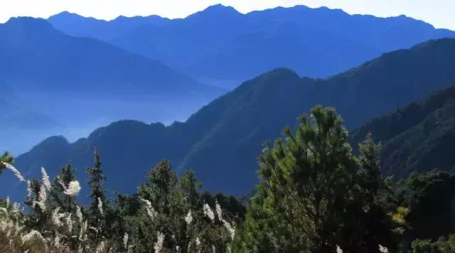 七大美女齐聚信阳！看看她们都是谁?