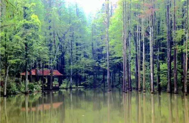 七大美女齐聚信阳！看看她们都是谁?