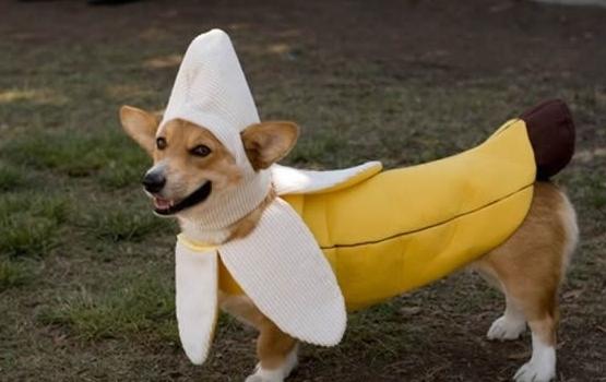 有哪些让你惊艳至今的歌词,那些押韵到无法忘怀的歌词