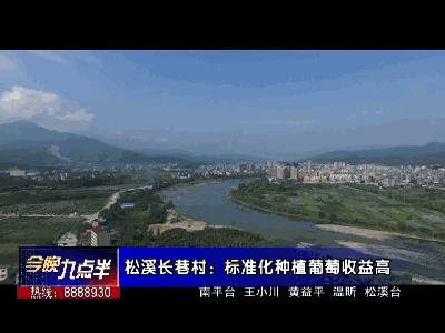 闽北葡萄又一村，教您如何挑选葡萄王