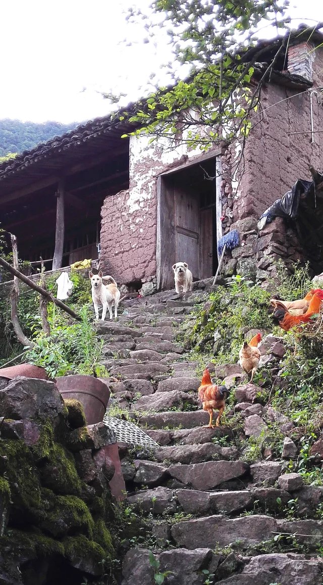 叶岩头,叶岩头村