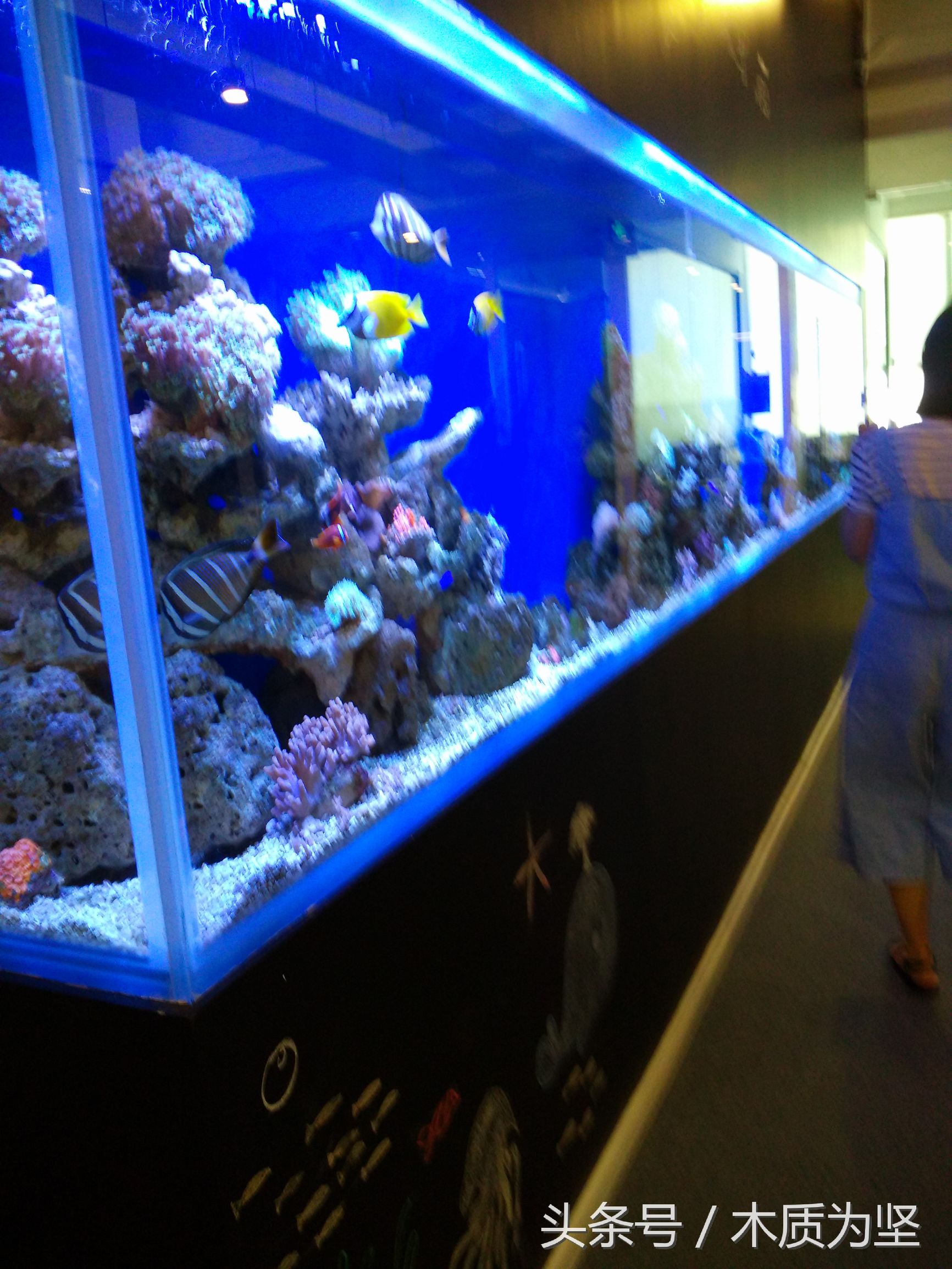 拜访深圳创客空间，看到了凤凰卫视曾做专访的角落（2）。。。