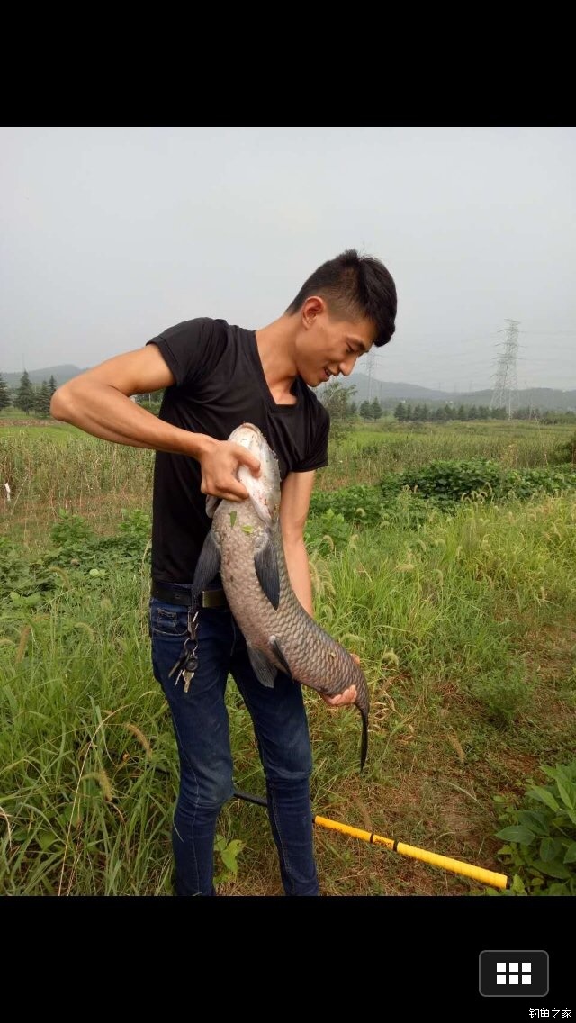 老鬼鳊鱼饵料配方,老鬼钓鳊鱼饵料
