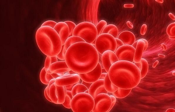 老人严重贫血怎么治疗效果好,老人严重贫血最快补血方法