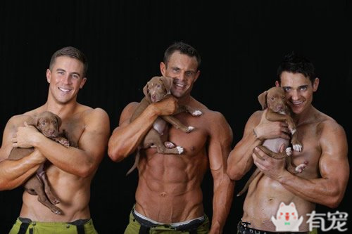 搜救犬看见防火员抱着小奶狗 (防火员训练发现小奶狗)