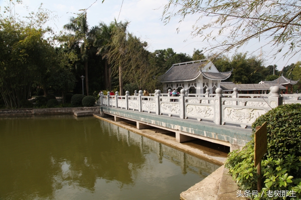 广西南宁狮山公园图,南宁狮山公园景观改造