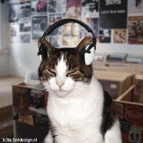 里约奥运会开幕式点燃火炬,里约奥运会拔火罐