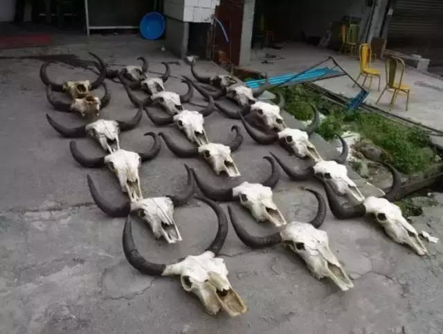 小长假来一场茶之旅,带茶叶旅游攻略