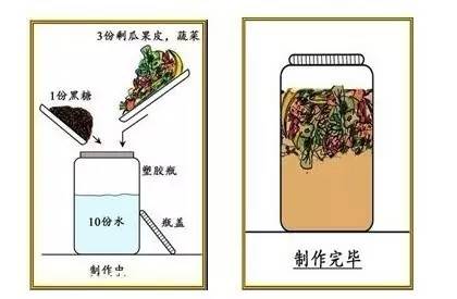 厨余垃圾制作环保酵素,厨余垃圾做的环保酵素怎么施肥