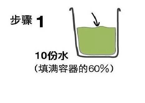 厨余垃圾制作环保酵素,厨余垃圾做的环保酵素怎么施肥