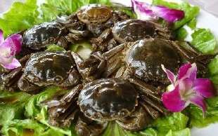 醉蟹怎么做更有味道,很大的螃蟹做醉蟹