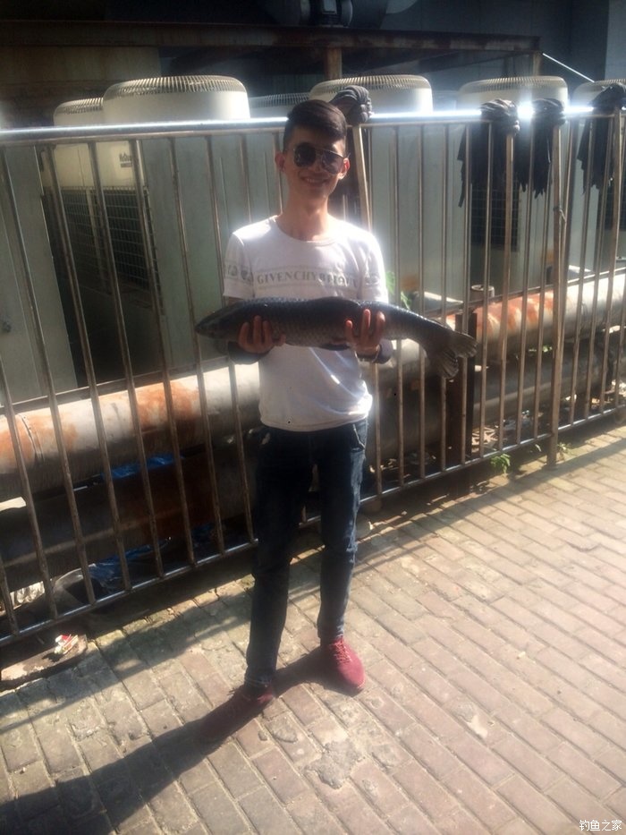 老鬼鳊鱼饵料配方,老鬼钓鳊鱼饵料