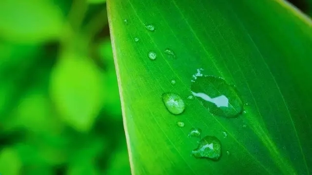 就算吃土也要买的好物,就算吃土也要买的套装