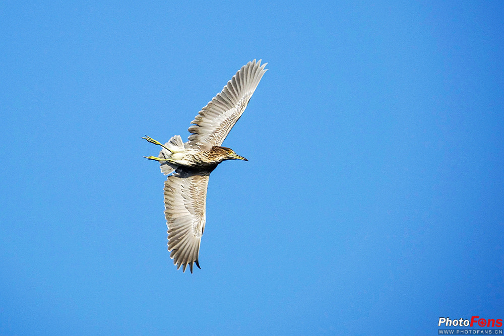 索尼黑卡长焦rx10m4技术参数,索尼超长焦黑卡rx10iii