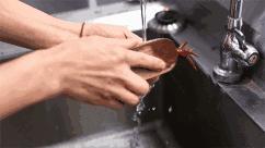 有“琪”你就来免单|郑文琪小龙虾盖浇饭强势来袭，召唤“琪”人