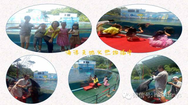 看这里！哇咔咔《南山区形象宣传片》之友情出演篇