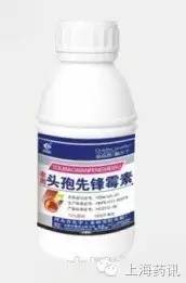 以前青霉素过敏会一直过敏吗,以前头孢过敏现在还会过敏吗