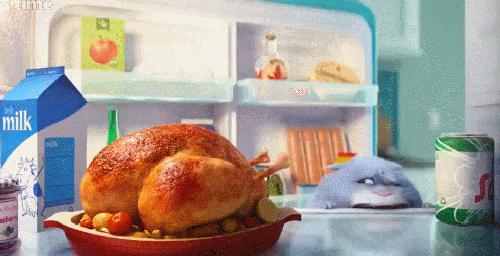 万万没想到！竟然被一群来搞笑的宠物暖哭了