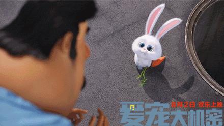 万万没想到！竟然被一群来搞笑的宠物暖哭了