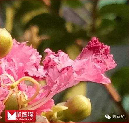 金立M6评测：为了安全，足够“用芯”