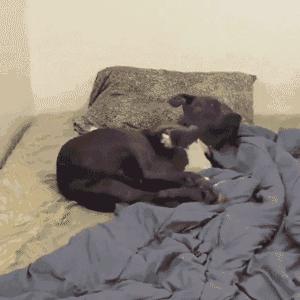 女友故意调皮,女友调皮又很乖