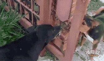 女友故意调皮,女友调皮又很乖