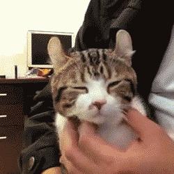 一张*证假**5部手机,打工妹摇身变成“女军官”...