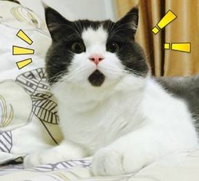 这些粤语地道说法你听懂了吗,最难读准粤语的九个字