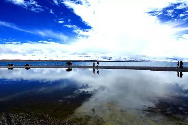 圣湖天域,圣湖天域顶跃