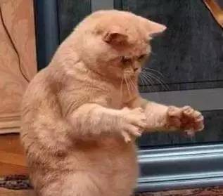 如果你在合肥，就不要问合肥人这些问题！小心叼到你飞起~