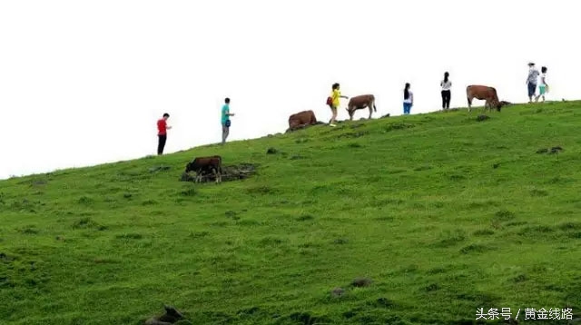 广东的绿宝石,广东绿宝石