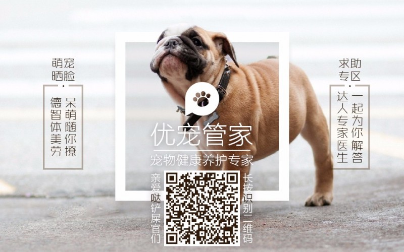 优宠管家关于“狂犬疫苗”的问答合集！史上最全，一篇全搞定！