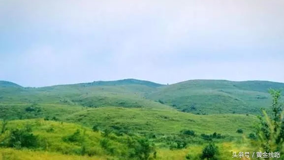 广东的绿宝石,广东绿宝石