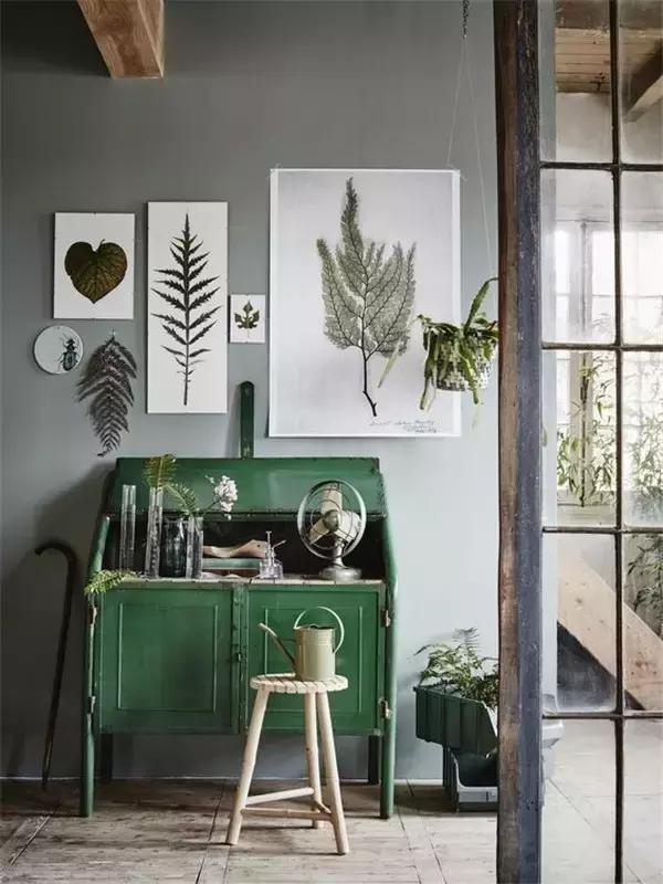 家里再穷也要丢掉的绿植,绿植盆栽都扔了