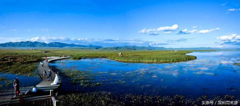 阿坝州川西北大草原,川西北若尔盖地区