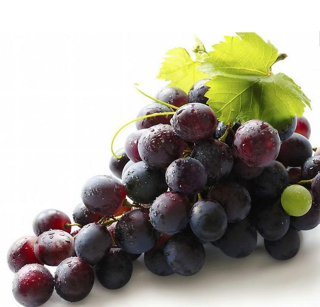 你不知道的葡萄酒有趣的冷知识,葡萄的营养功效和作用