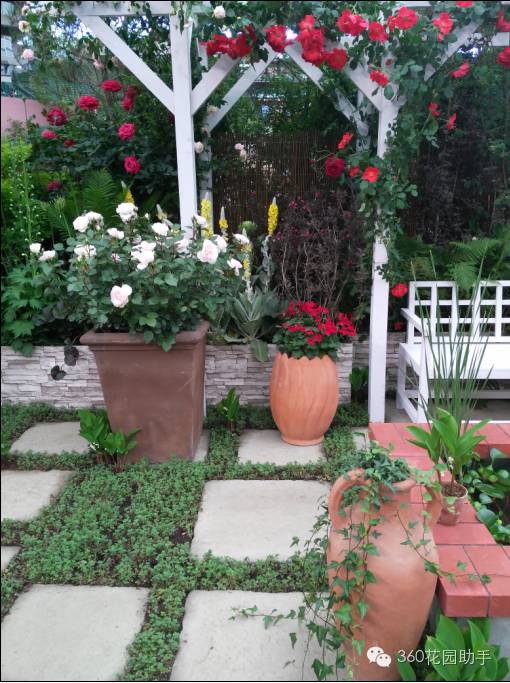 花园小路景观植物,花园小径植物