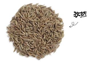 烧烤必备16种调料,烧烤原来如此简单