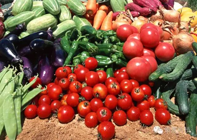河南一年四季露天种植蔬菜时间表,常州地区全年露天种植蔬菜时间表