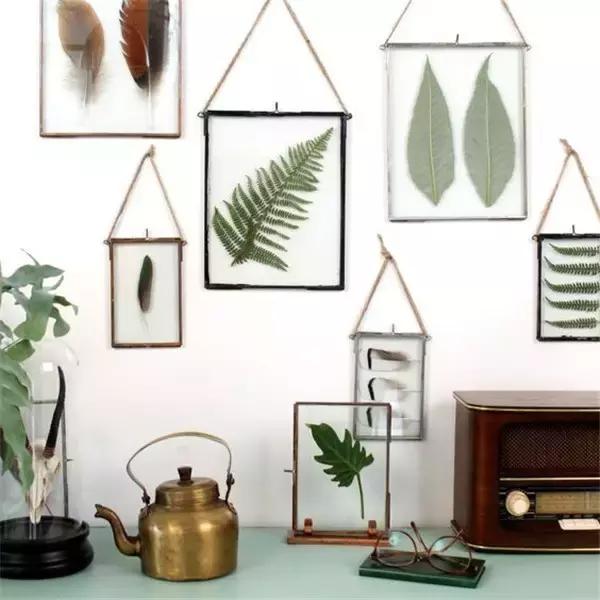 家里再穷也要丢掉的绿植,绿植盆栽都扔了