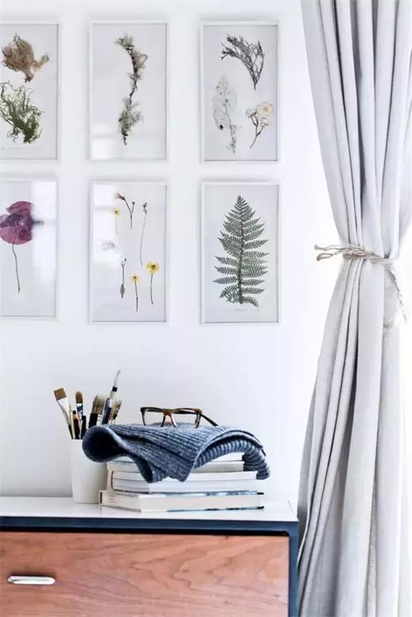 家里再穷也要丢掉的绿植,绿植盆栽都扔了