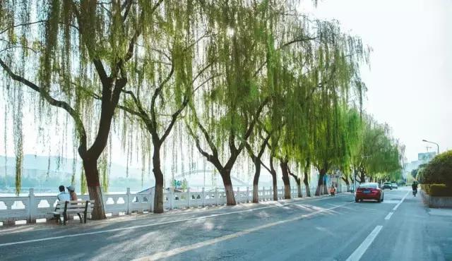 我还是很喜欢你原唱,我还是很喜欢你朗诵