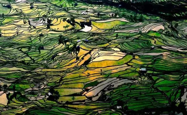 国内旅游值得去的地方,国内最值得去40个景点