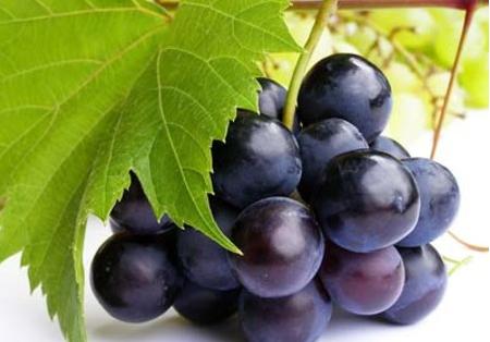 你不知道的葡萄酒有趣的冷知识,葡萄的营养功效和作用