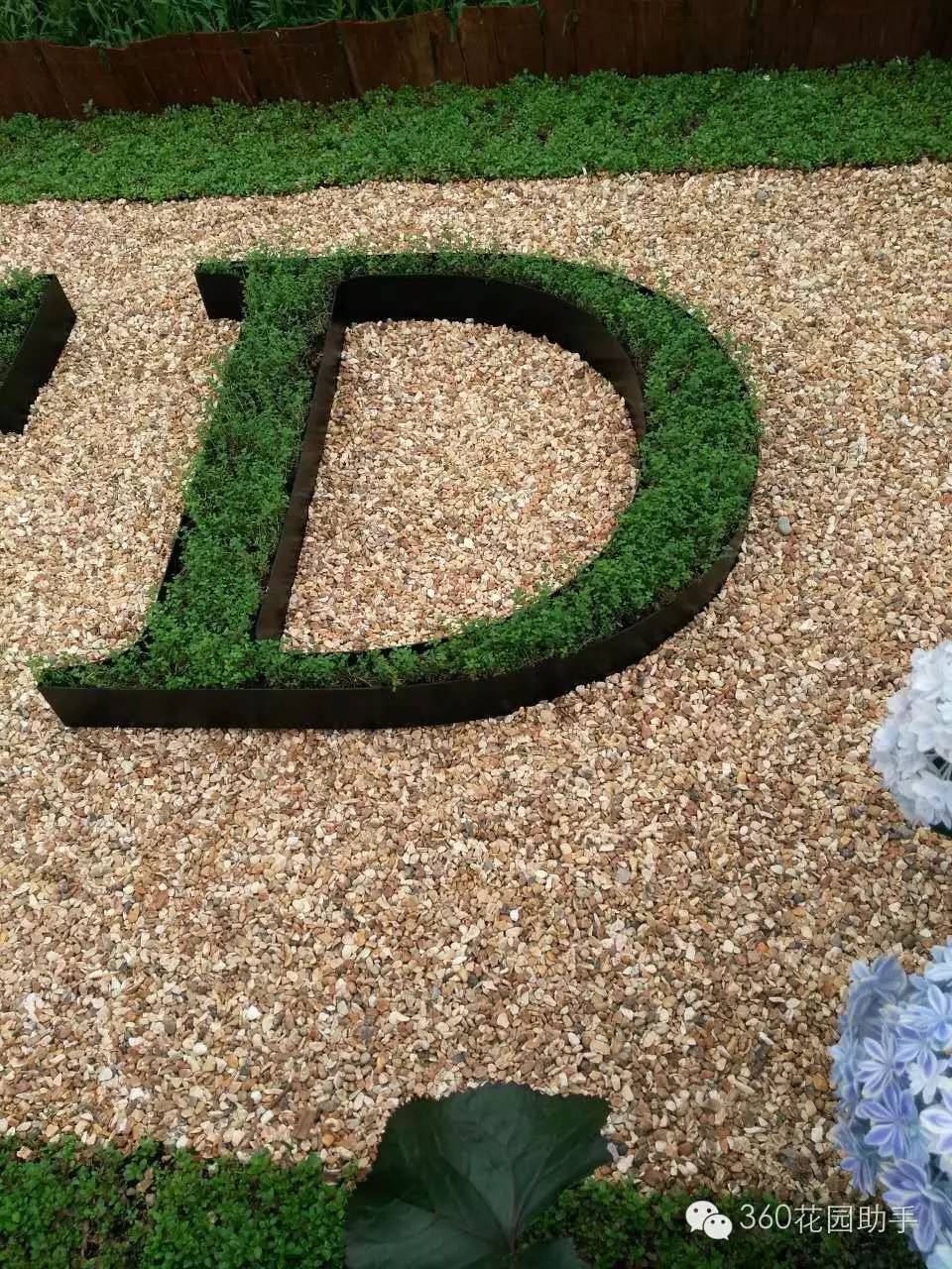 花园小路景观植物,花园小径植物