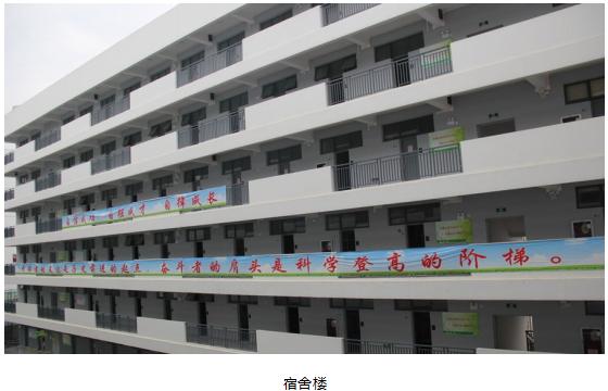 深圳科学高中是什么类型的学校,深圳科学高中2019高考成绩