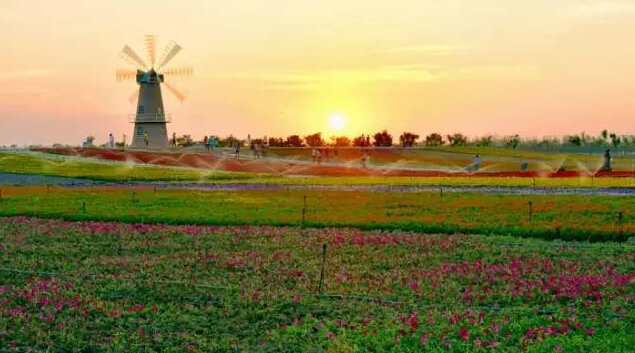 如果你在合肥，就不要问合肥人这些问题！小心叼到你飞起~