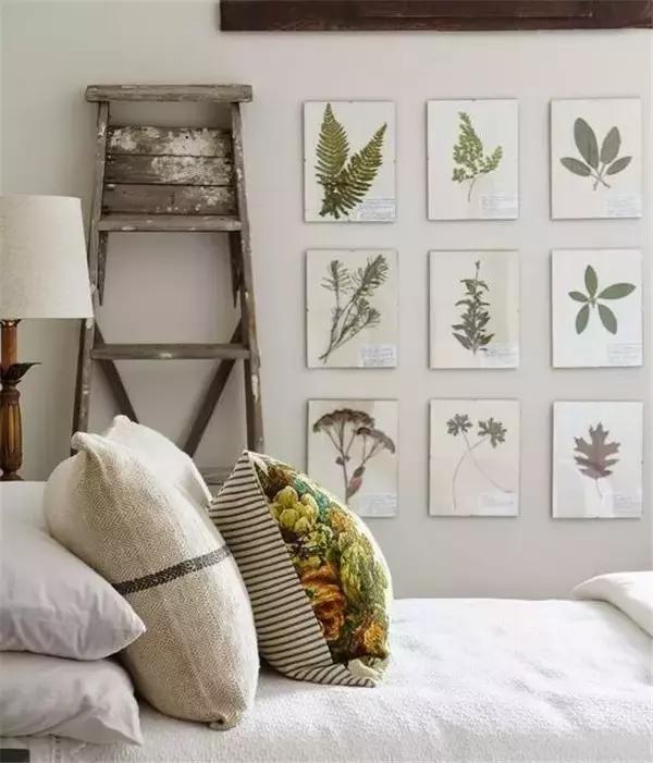 家里再穷也要丢掉的绿植,绿植盆栽都扔了