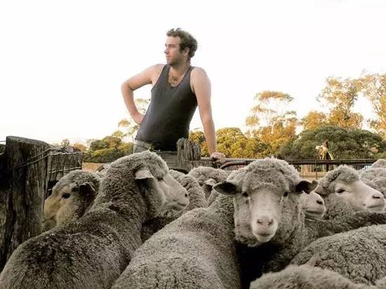 是什么让40000华人把澳洲药房搬空？甚至连仓库也不放过！