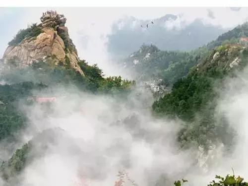 我还是很喜欢你原唱,我还是很喜欢你朗诵